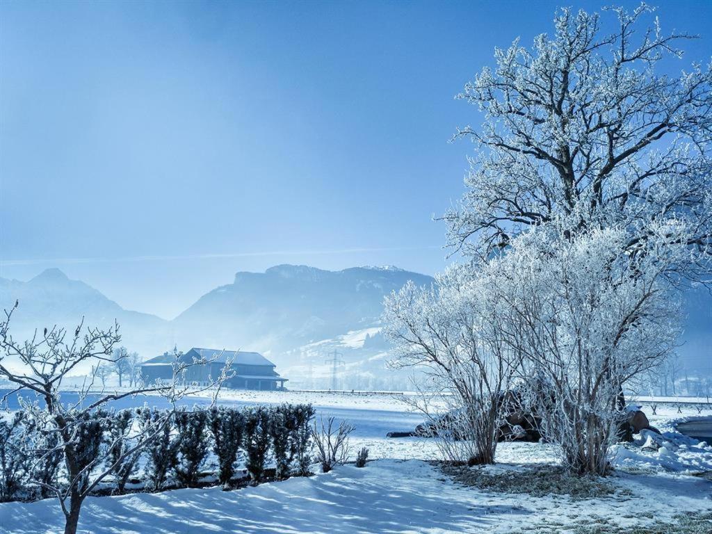 Gaestehaus Hauser ไฮน์เซนแบร์ก ภายนอก รูปภาพ